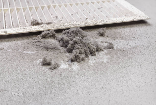 Best Commercial Air Duct Cleaning  in Piru, CA