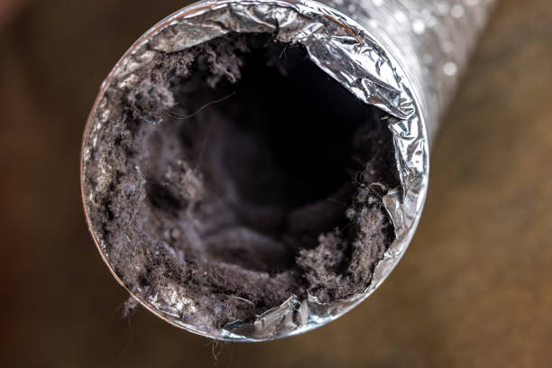 Best Air Duct Cleaning Near Me  in Piru, CA