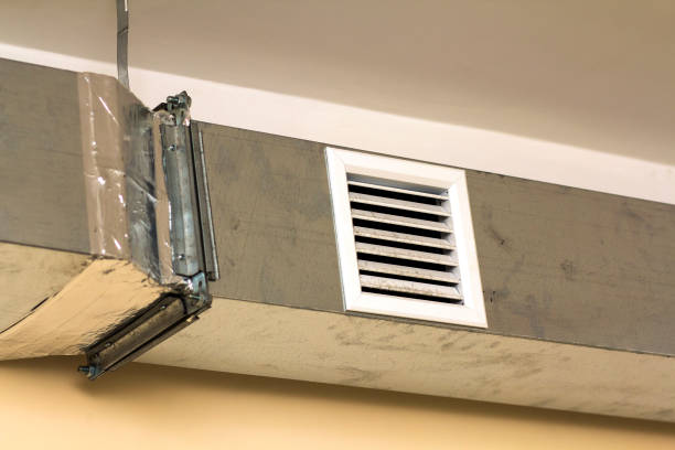 Best Professional Duct Cleaning Services  in Piru, CA